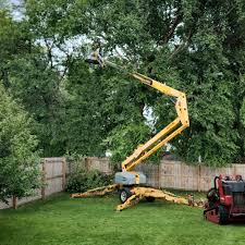 How Our Tree Care Process Works  in Enlow, PA